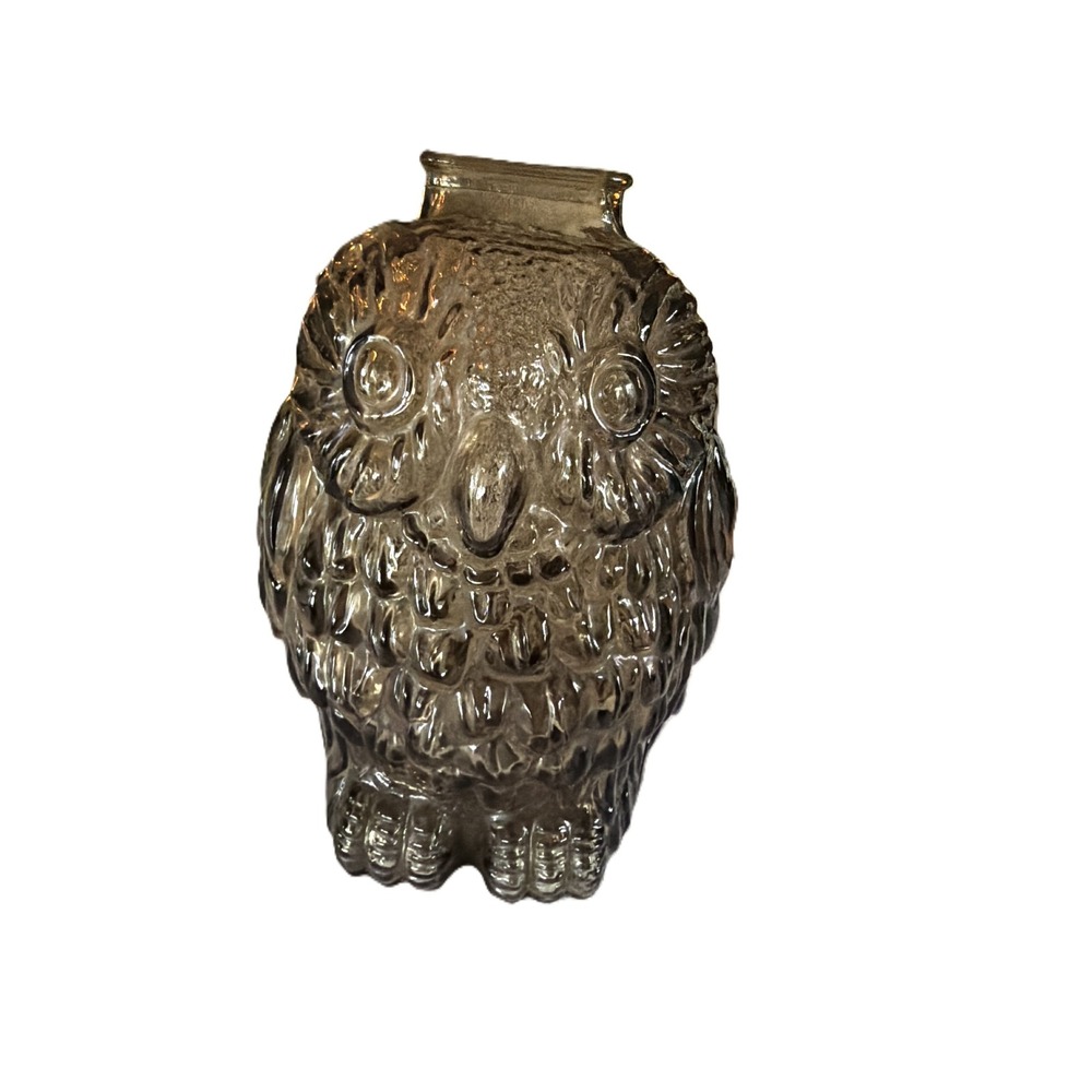 Vintage Wise‎ Old Owl Smokey Gray Glass Coin Bank Figurine 6.5 Inch